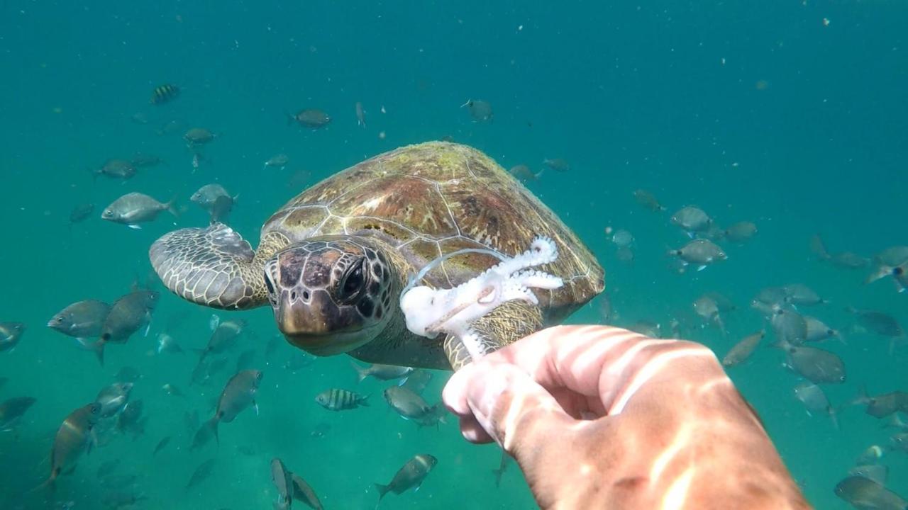 Pousada Conves - Ilha Grande Прая-ді-Арасатіба Екстер'єр фото